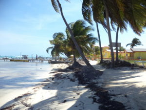 Caye Caulker, Belize